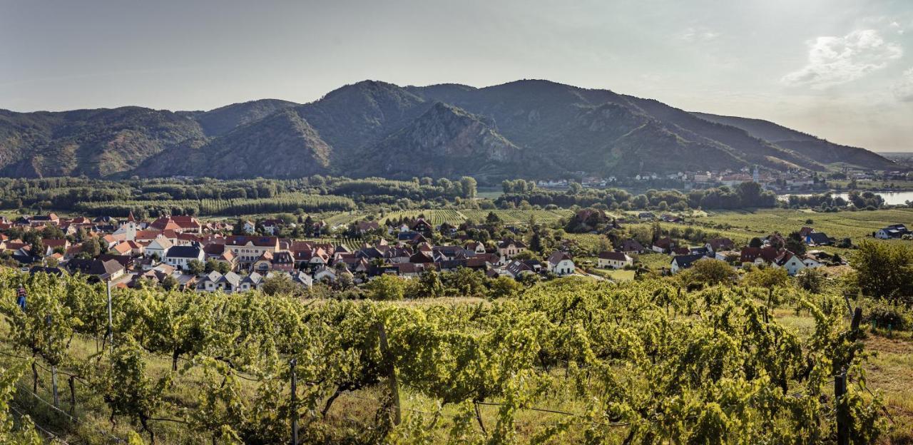Apartment Winzerhof Supperer *